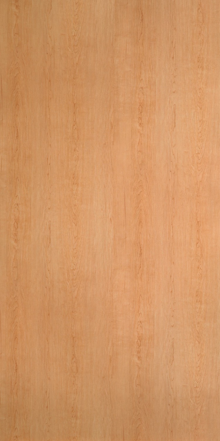 Formica Cora